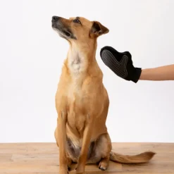 PARIS PRIX - Gant de brossage pour chien & chat