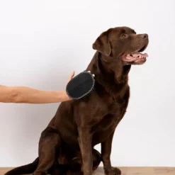 PARIS PRIX - Gant de brossage pour chien & chat "2 faces" 15cm gris