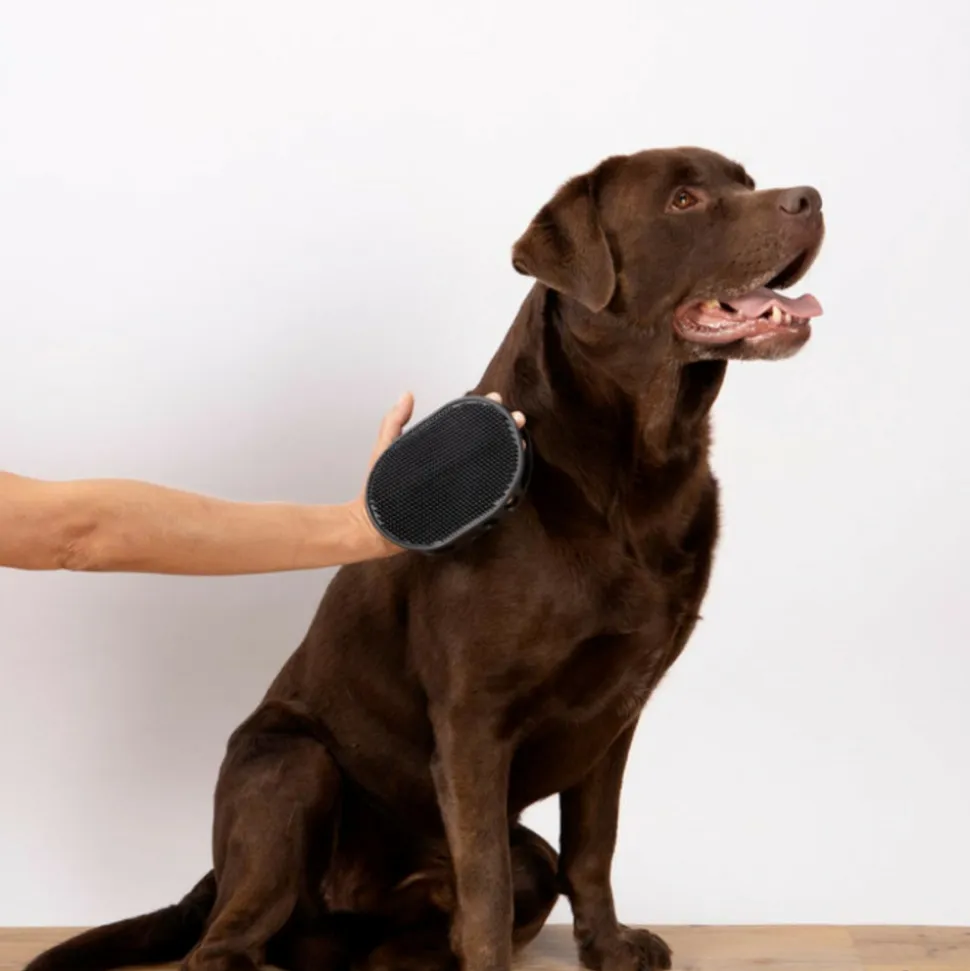 PARIS PRIX - Gant de brossage pour chien & chat "2 faces" 15cm gris