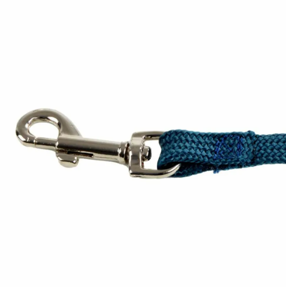 PARIS PRIX - Laisse fine pour chien "essentiel" 120cm émeraude