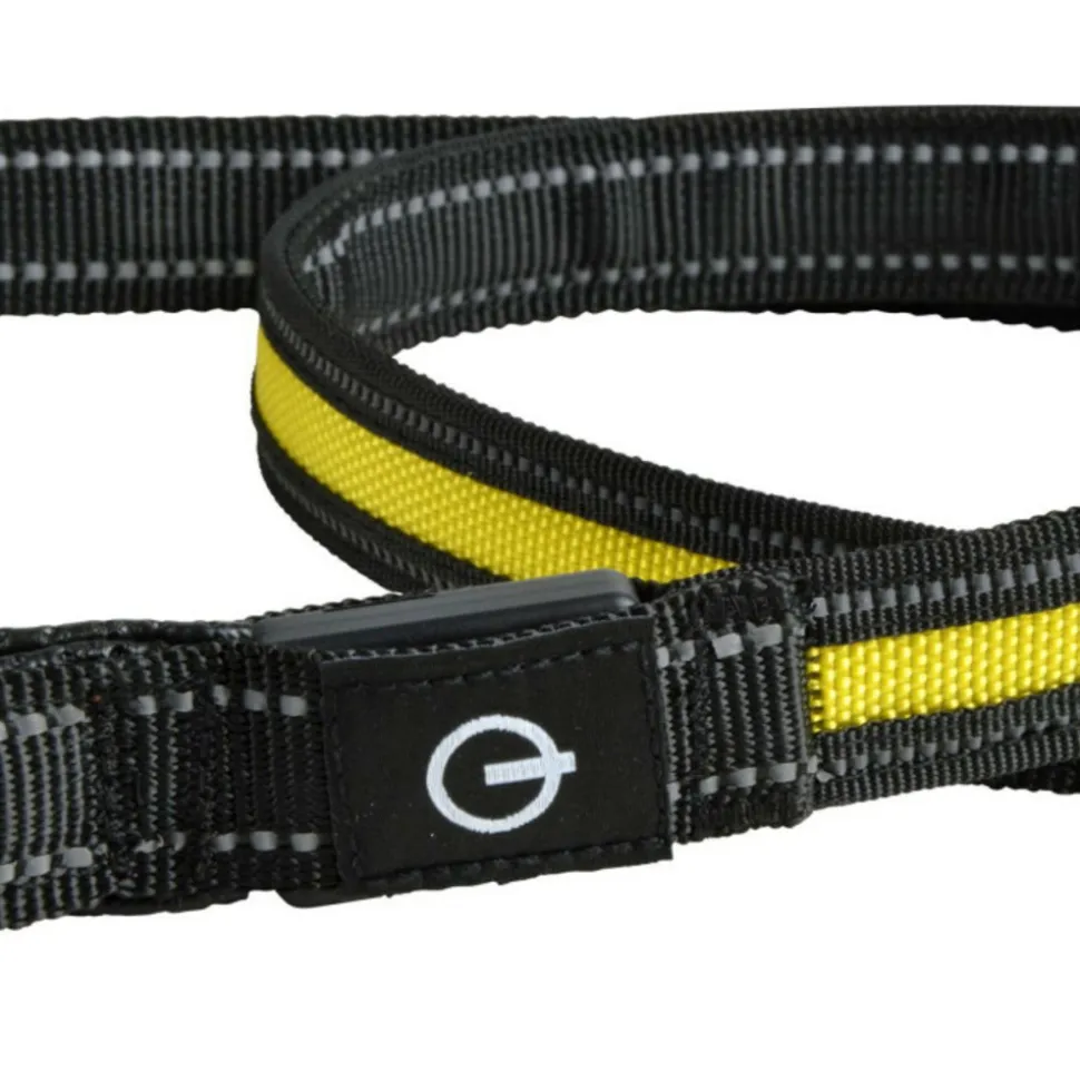 PARIS PRIX - Laisse lumineuse pour chien "led" 120cm jaune