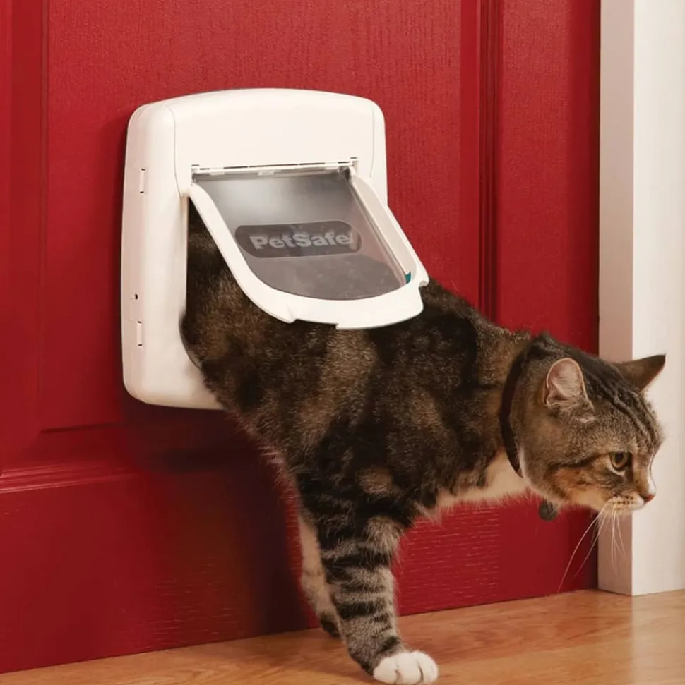 PETSAFE - Clé magnétique de collier 480 noir 5007