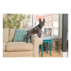 PETSAFE - Collier anti-aboiement rouge 71 cm 6065