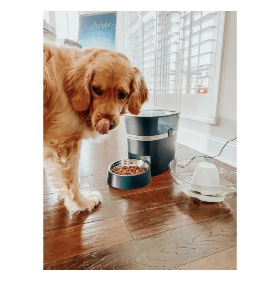 PETSAFE - Petsafe distributeur 12 repas connecte smartfeed - pour chien et chat