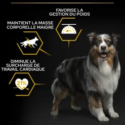 PROPLAN - Croquettes chien adulte stérilisé Super Premium - 14 kg
