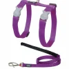 RED DINGO - Ensemble harnais et laisse red dingo chats basic violet
