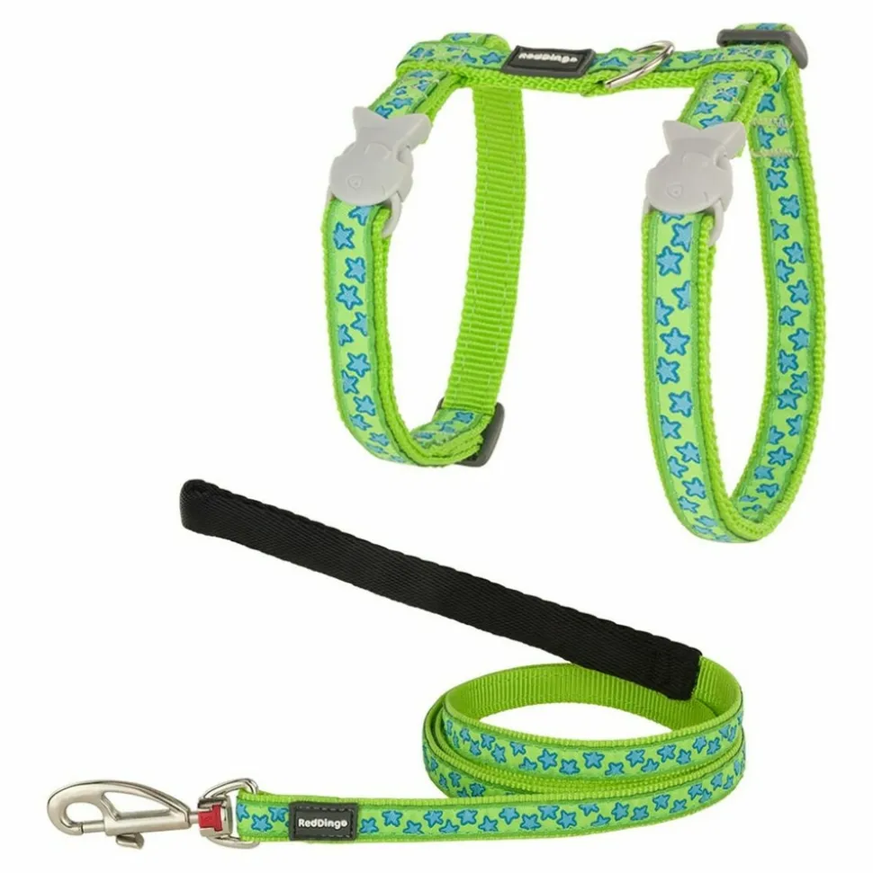 RED DINGO - Harnais pour chat red dingo style turquoise étoile sangle