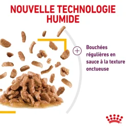 ROYAL CANIN - Bouchées en sauce chat Adulte Sensory Taste 12x85g