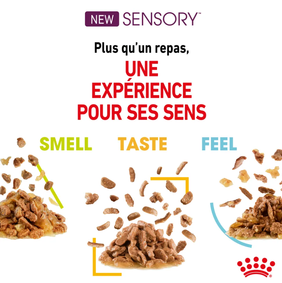 ROYAL CANIN - Bouchées en sauce chat Adulte Sensory Taste 12x85g