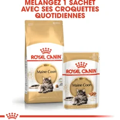 ROYAL CANIN - Croquettes chat Maine Coon Adulte à partir de 15 mois 4kg