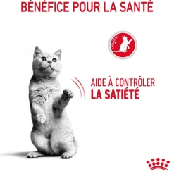 ROYAL CANIN - Croquettes chat quemandeur Appetite Control Sterilised 3.5kg