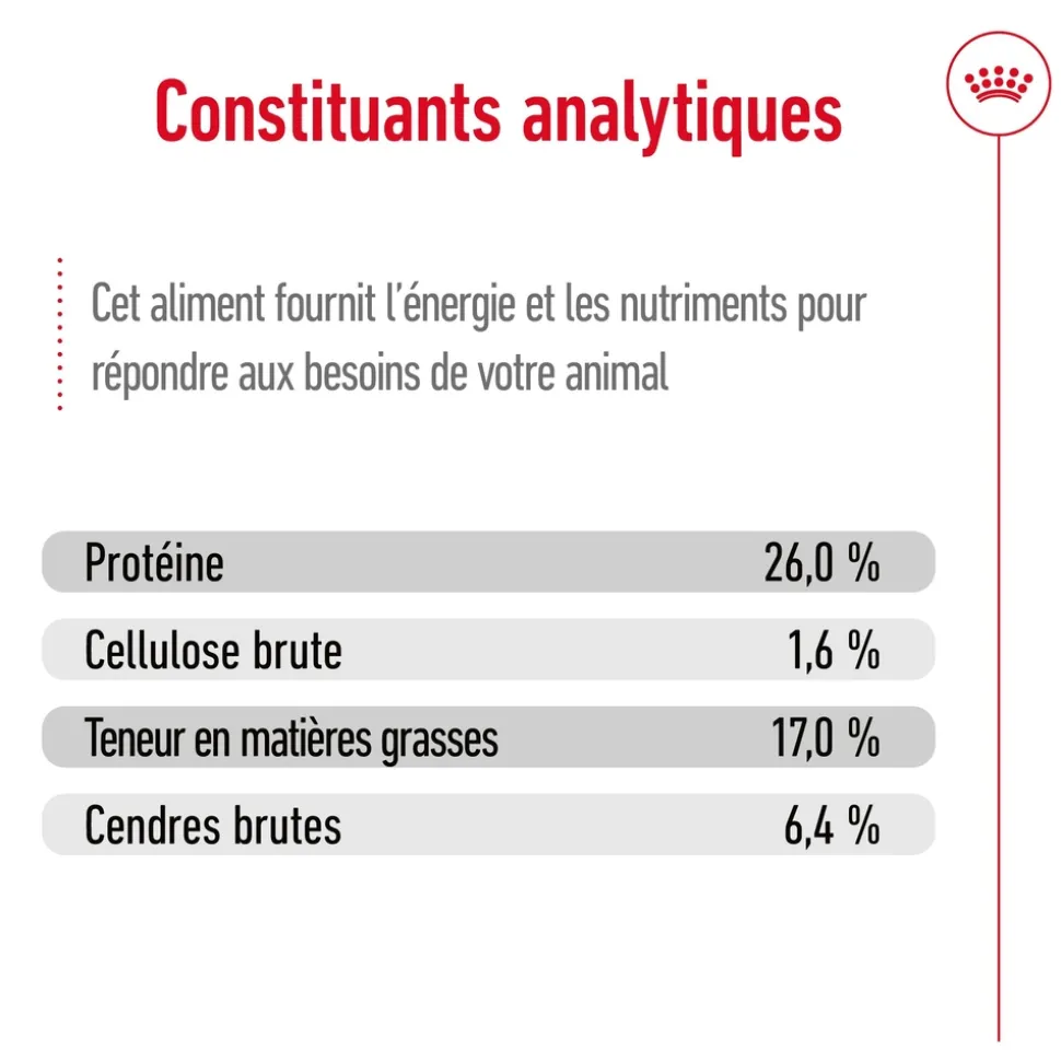ROYAL CANIN - Croquettes chien grande taille de + 5 ans Maxi Adult 5+ 15kg