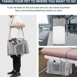 Sac à dos de chat portable et pliable pour sorties taille s downypaws