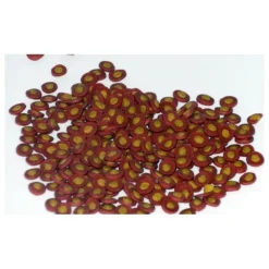 SERA - Printemps/ automne 2.2kg sera koi professional aliment composé