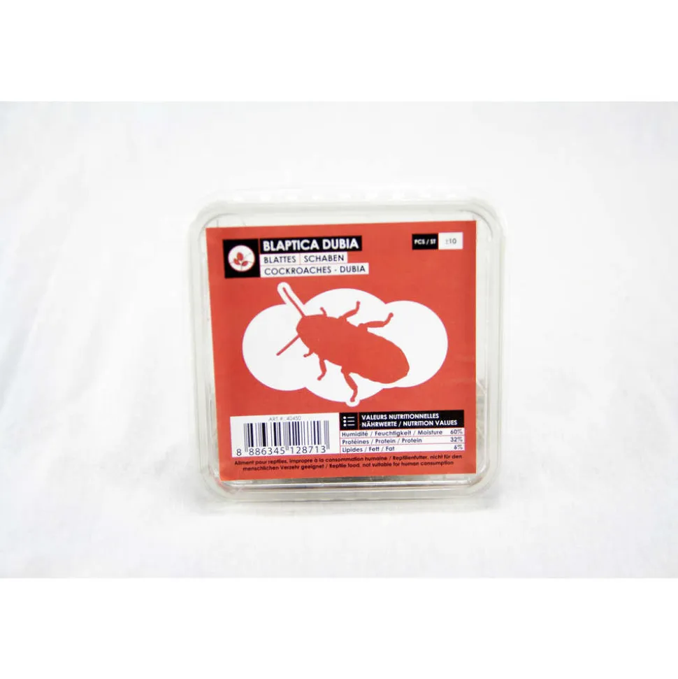 STOFFELS - Blattes pour alimentation reptiles, taille L, 10 pièces