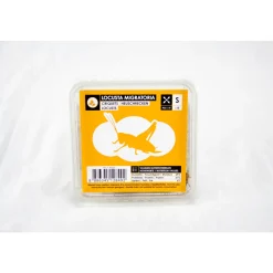 STOFFELS - Criquets subadultes pour alimentation reptiles, 15 pièces