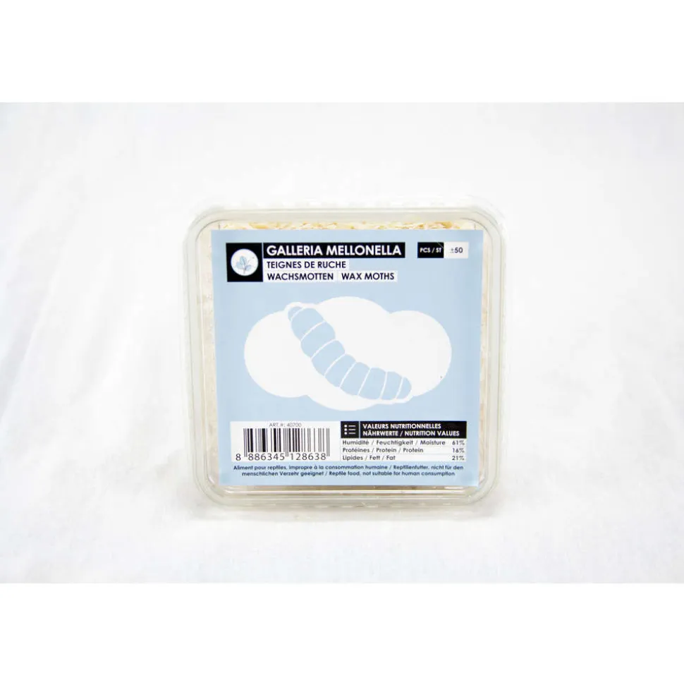 STOFFELS - Teignes de ruche pour alimentation reptiles, 50 pièces