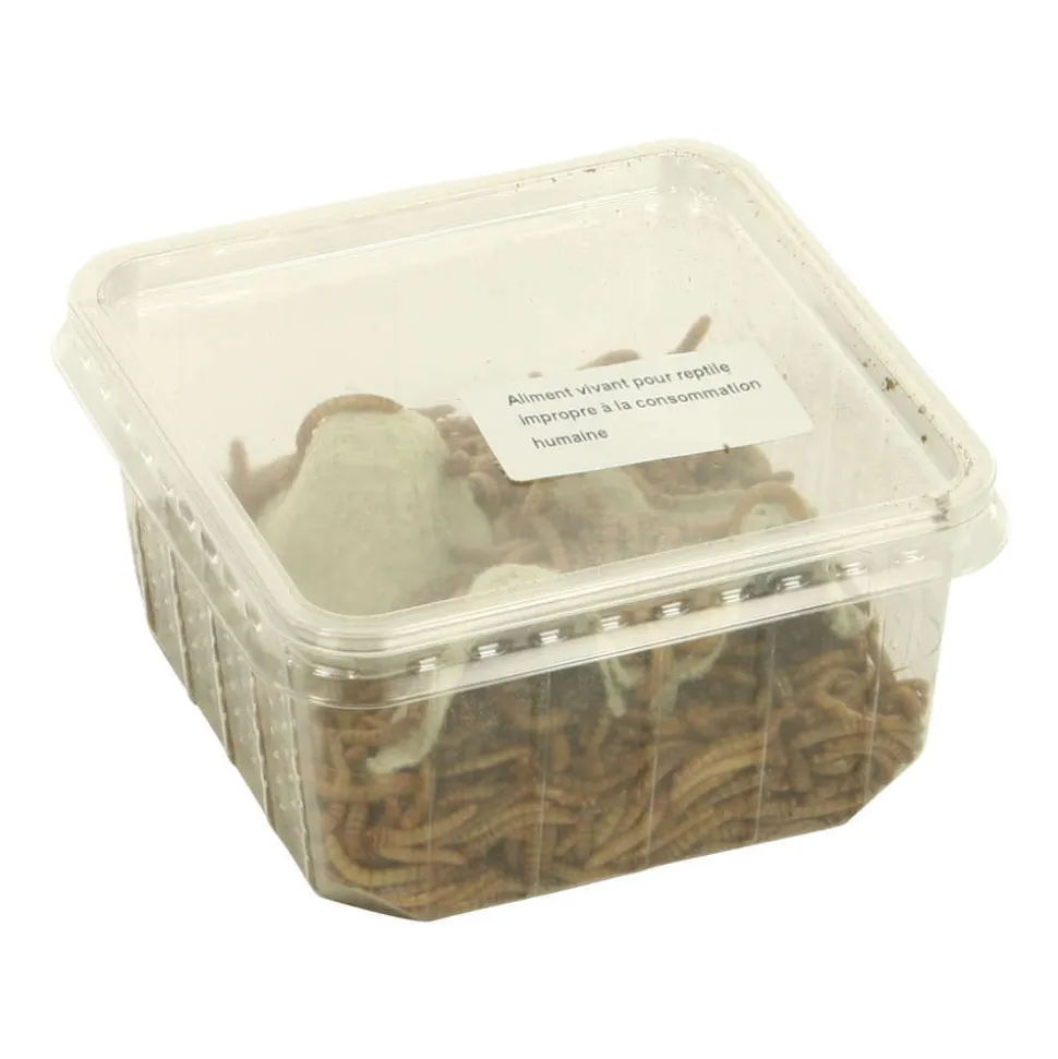 STOFFELS - Vers de farine pour alimentation reptiles, 100 gr