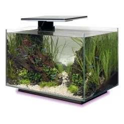 SUPERFISH - Aquarium Quadro 40, coloris noir - L.45xP.25xH.35,7cm