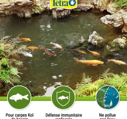 TETRA - Aliment complet flottant koï stick 4 litres , 650 g pour carpes koï de bas