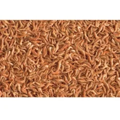 TETRA - Crevettes entières séchés 100 g - 1l pour toutes les tortues d'eau