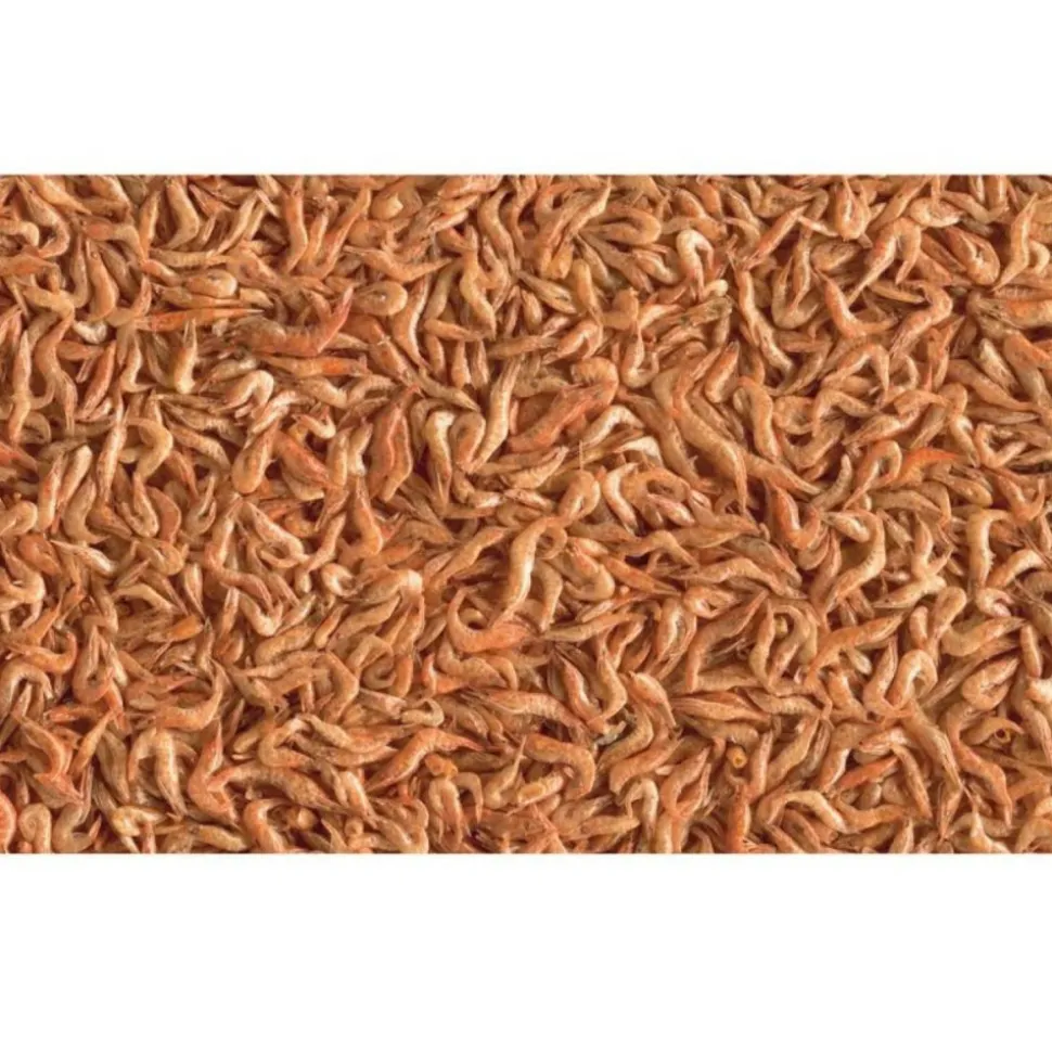 TETRA - Crevettes séchés 250ml/20g reptodelica pour les tortues d'eau