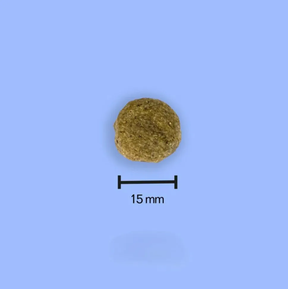 TOMOJO - Croquettes aux insectes sans céréales pour chien 1.2kg
