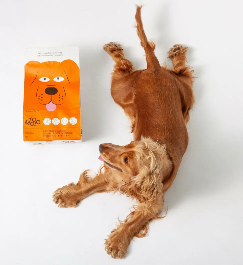 TOMOJO - Croquettes aux insectes sans céréales pour chien 2kg