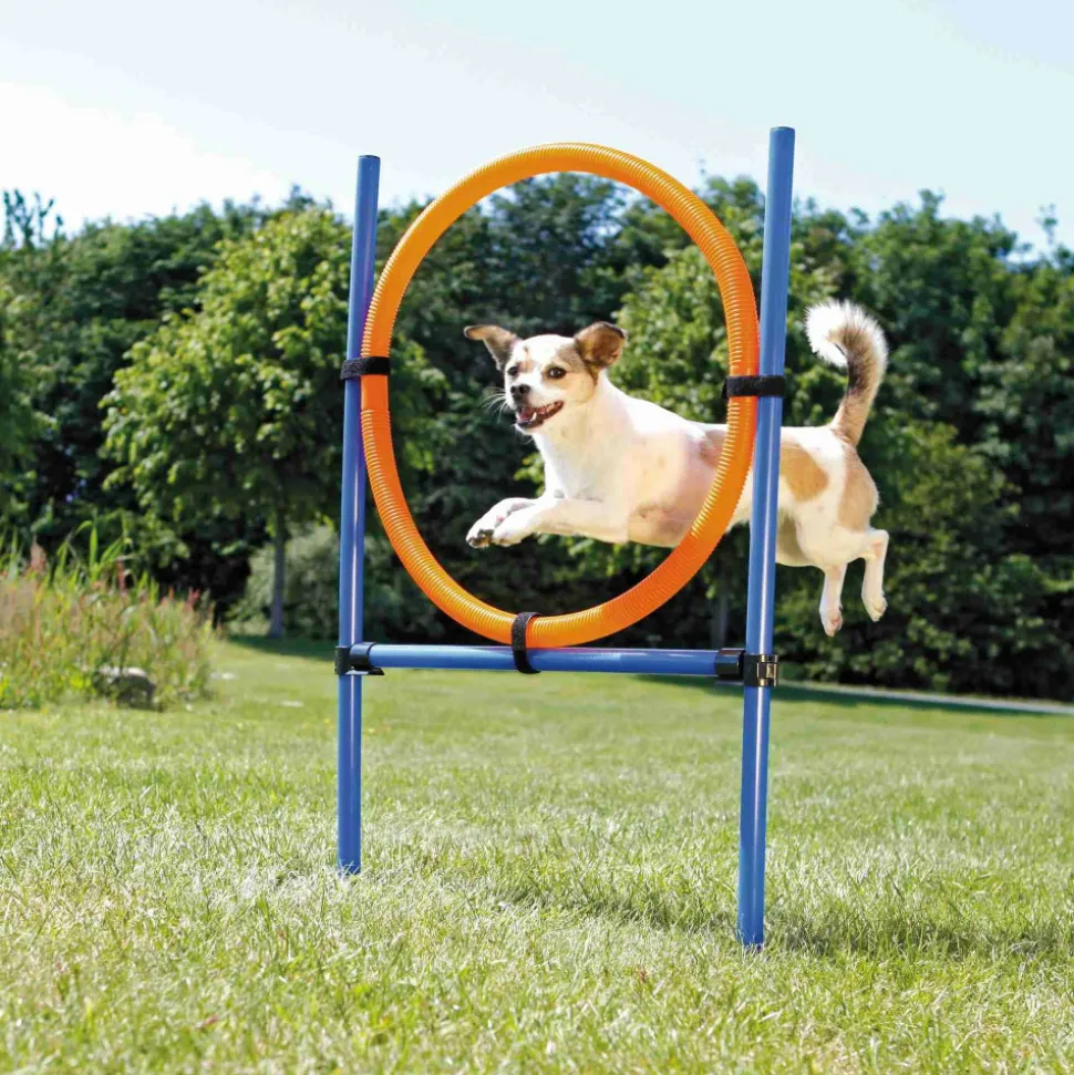 TRIXIE - Cerceau d'agilité pour chiens 115 x 3cm plastique