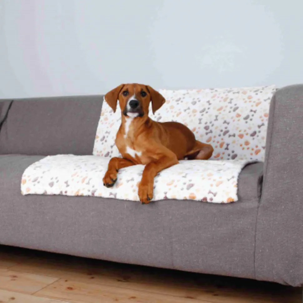 TRIXIE - Couverture lingo