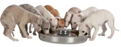 TRIXIE - Ecuelle chiots 1,4 l/ø 29 cm