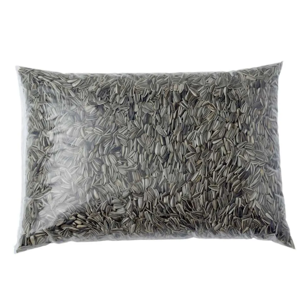 TRUFFAUT BIODIVERSITÉ - Graines de tournesol pour oiseaux du jardin - 4 kg