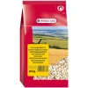 VERSELE LAGA - Graines de tournesol blanches pour oiseaux 600g