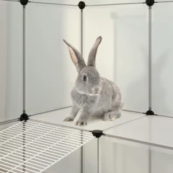 VIDAXL - Cage pour petits animaux transparent 142x74x93 cm pp et acier