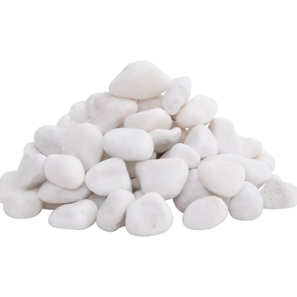VIDAXL - Galets polis 10 kg blanc 2-5 cm