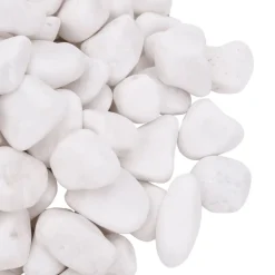 VIDAXL - Galets polis 10 kg blanc 2-5 cm