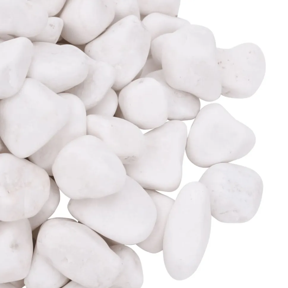 VIDAXL - Galets polis 10 kg blanc 2-5 cm