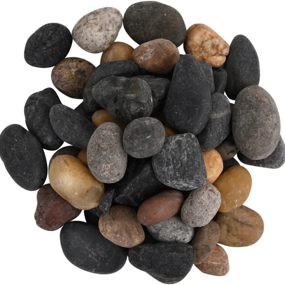 VIDAXL - Galets polis 10 kg multicolores 5-8 cm