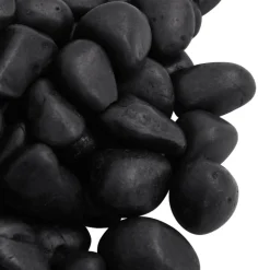 VIDAXL - Galets polis 10 kg noir 2-5 cm