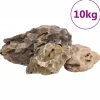 VIDAXL - Pierres du dragon 10 kg gris 10-40 cm