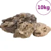 VIDAXL - Pierres du dragon 10 kg gris 10-40 cm