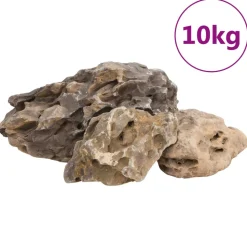 VIDAXL - Pierres du dragon 10 kg gris 10-40 cm