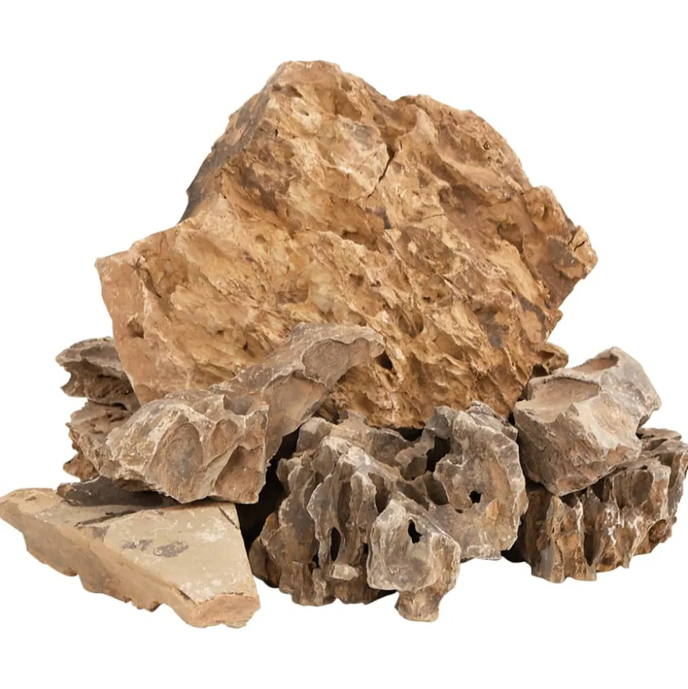 VIDAXL - Pierres du dragon 10 kg marron 5-30 cm