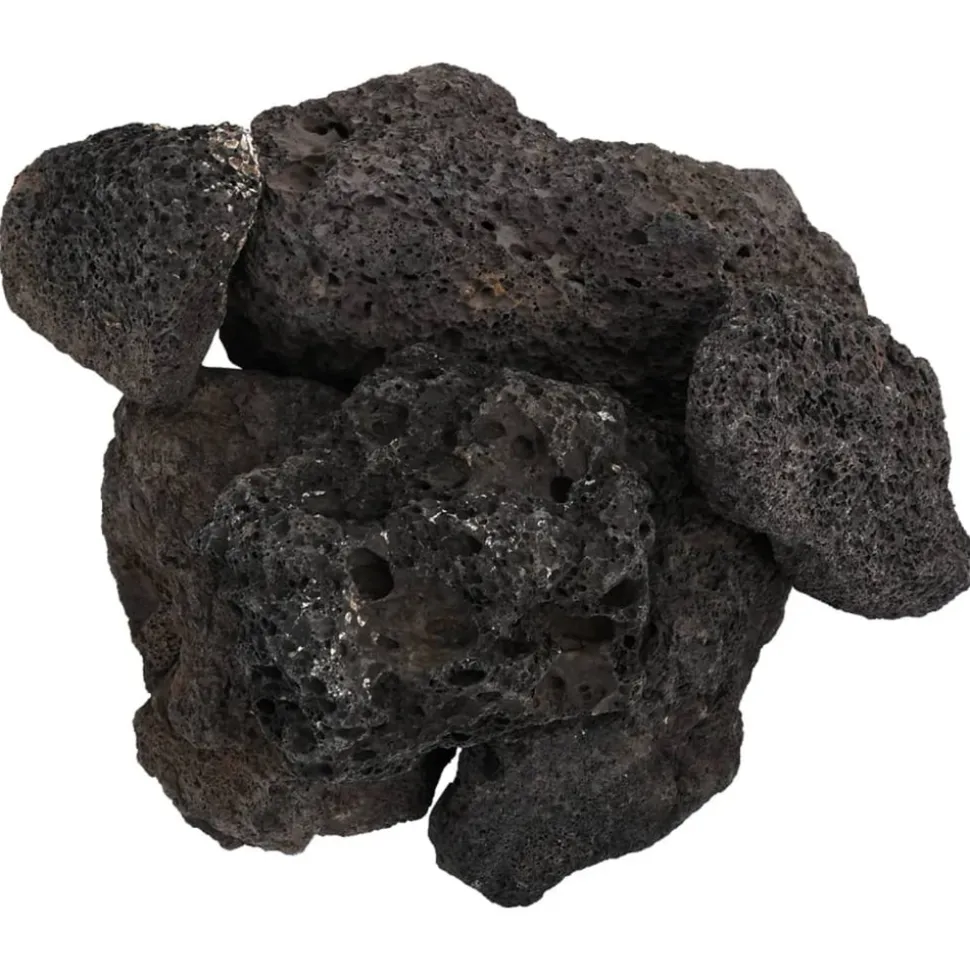 VIDAXL - Roches volcaniques 10 kg noir 10-30 cm