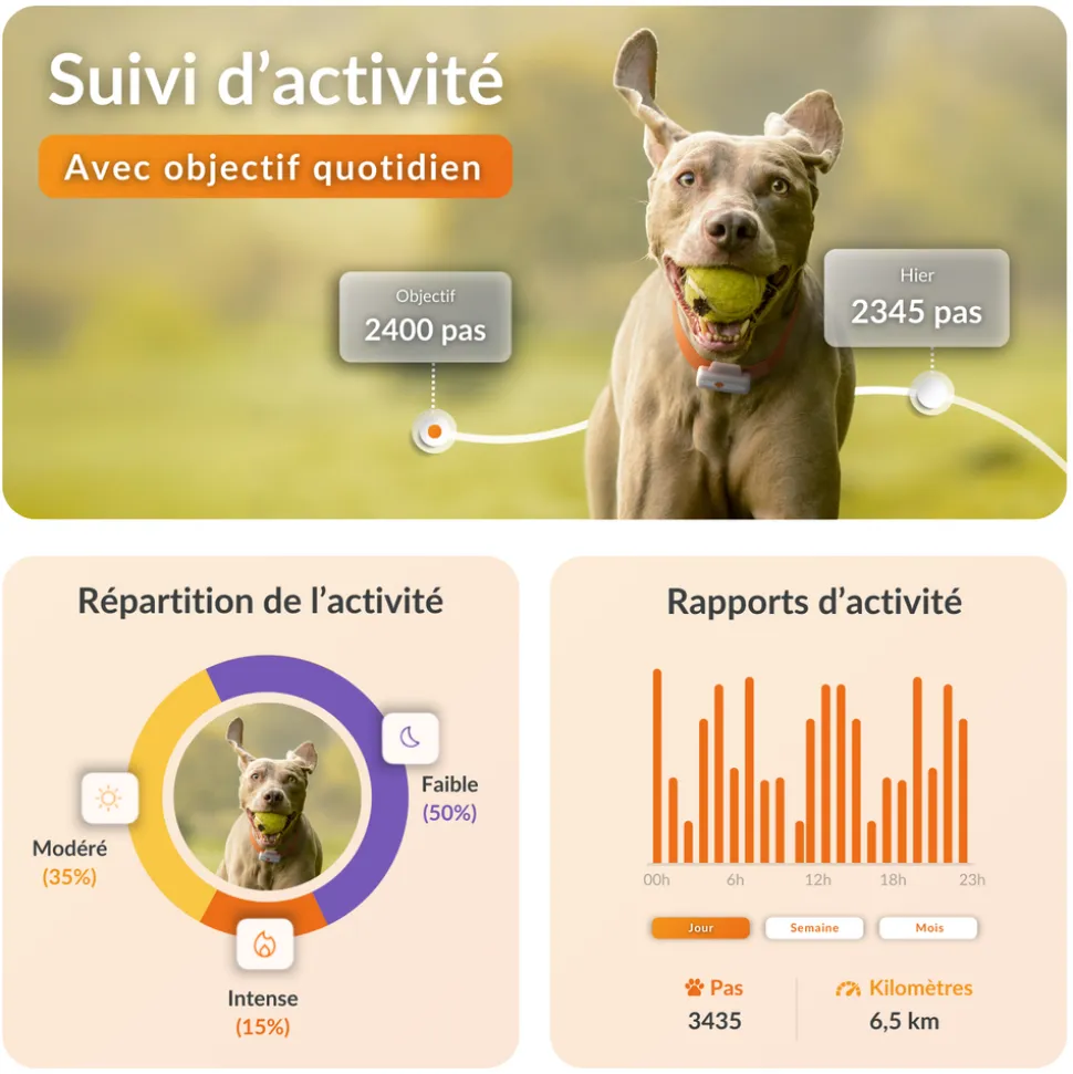 WEENECT - Weenect XS - collier gps pour chien ( white edition )