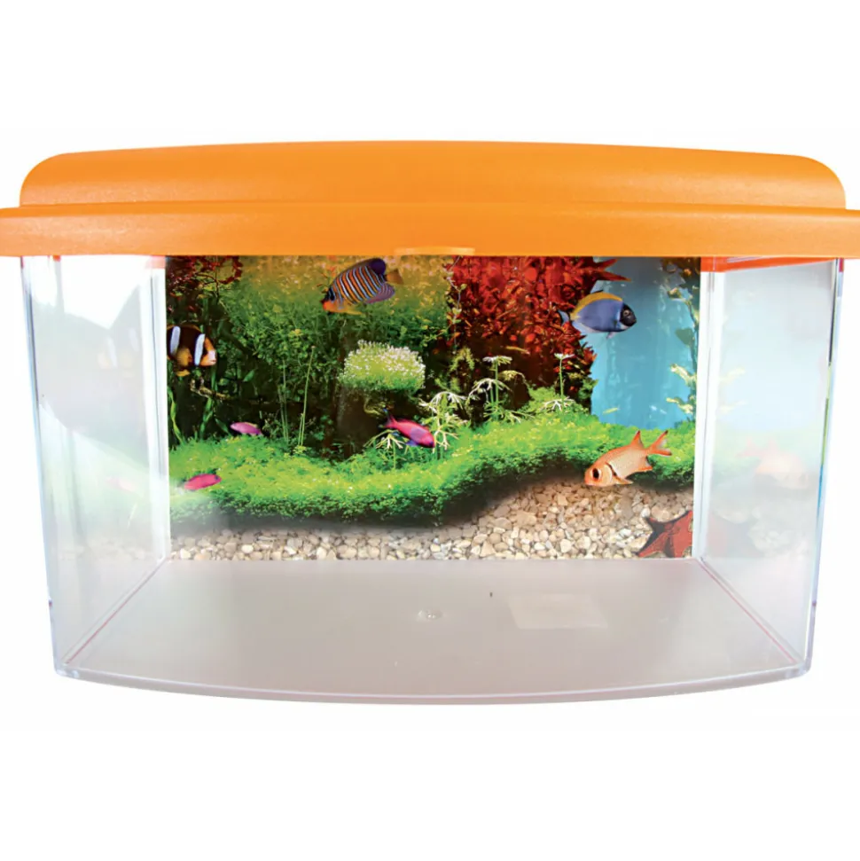 ZOLUX - Aqua travel box ii, médium, taille 28 x 20 x h 17 cm, pour poisson couleur