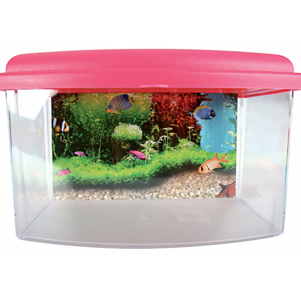ZOLUX - Aqua travel box ii, médium, taille 28 x 20 x h 17 cm, pour poisson couleur