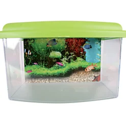 ZOLUX - Boîte de transport aqua travel 22 cm