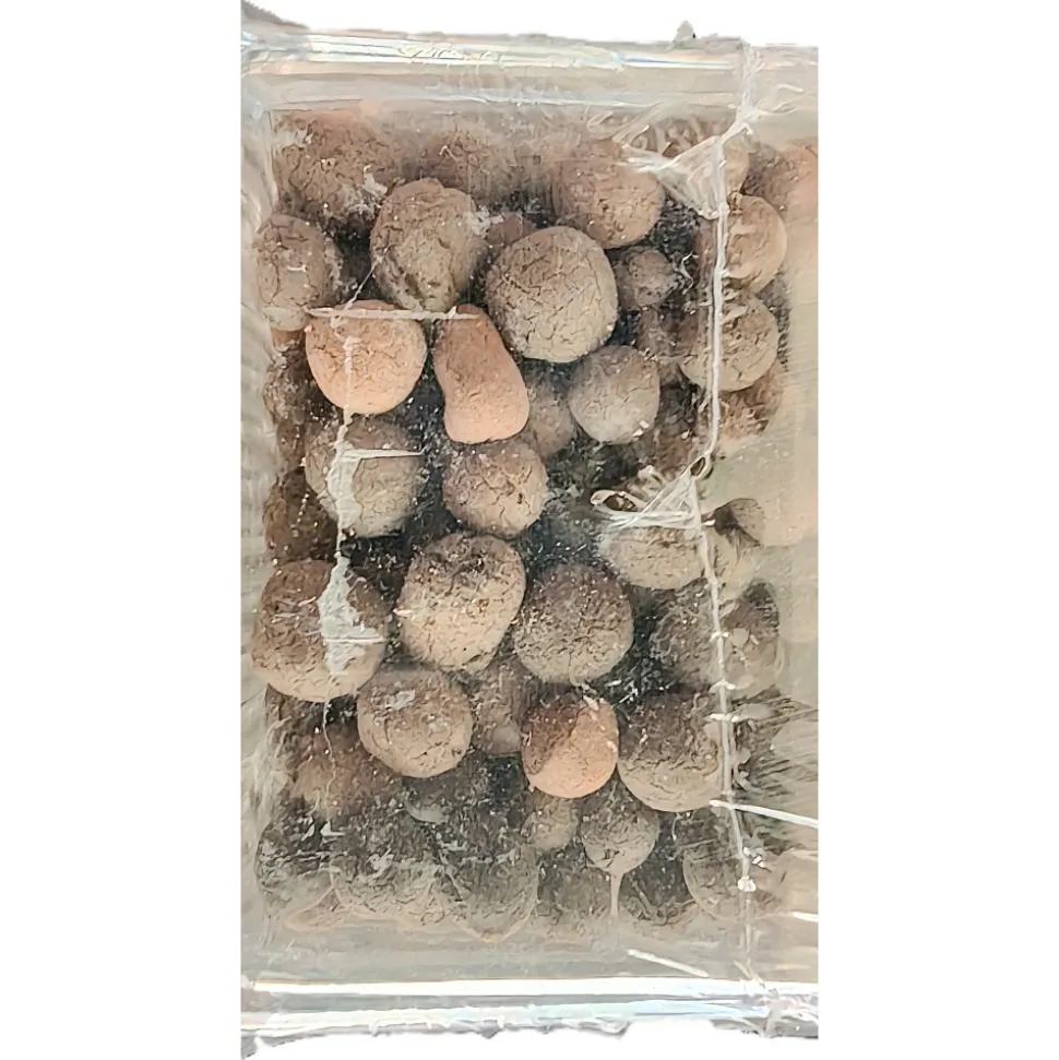ZOLUX - Cartouche billes pour nanolife 200 max pour aquarium