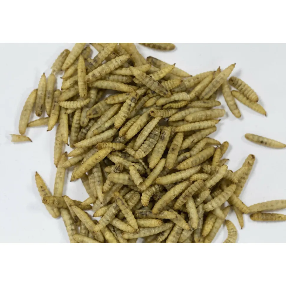 ZOLUX - Insectes séchés 250 g pour oiseaux